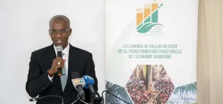 competitivite-de-la-chaine-de-valeur-des-fruits-et-legumes-le-pccet-envoie-30-jeunes-ivoiriens-en-immersion-aux-pays-bas