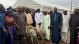 port bouet 115 moutons et 5 boeufs offerts aux musulmans pour la fete de tabaski