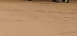 pluies-diluviennes-a-abidjan-les-sapeurs-pompiers-font-le-bilan-des-sinistres