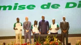 developpement de la chaine de valeur palmier a huile le gouvernement lance le programme palmier ivoire pour revolutionner le secteur