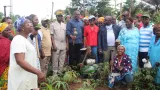 appui au developpement agricole dans le tonkpi claude sahy senquiere des preoccupations et besoins des femmes