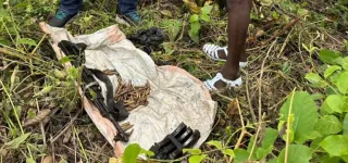 insecurite-une-arme-de-guerre-et-des-munitions-retrouvees-a-sanguehi