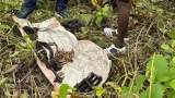 insecurite une arme de guerre et des munitions retrouvees a sanguehi