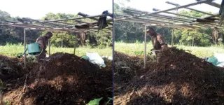 agriculture-durable-la-ruee-vers-lor-noir-le-compost