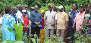 production-agricole-des-populations-du-tonkpi-recoivent-un-important-don-du-president-ouattara