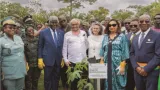 journee internationale de larbre beugre mambe engage les populations a restaurer le couvert forestier ivoirien la journee