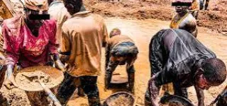 dossier-fuite-de-capitaux-destruction-de-lenvironnement-vices-insecurite-comment-lorpaillage-illegal-menace-le-nord-de-la-cote-divoire