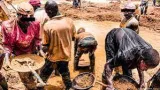dossier fuite de capitaux destruction de lenvironnement vices insecurite comment lorpaillage illegal menace le nord de la cote divoire