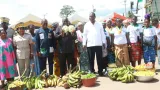 securite alimentaire le gouvernement equipe les femmes de bongouanou en materiels agricoles