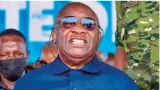 lui et ses partisans jubilent apres une simple audience avec lambassadeur de france laurent gbagbo lincoherence et linconsequence dun faux souverainiste