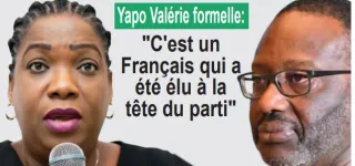 double-nationalite-a-la-tete-du-pdci-rda-une-deuxieme-procedure-en-destitution-intentee-contre-thiam