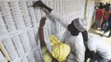 octobre 2025 plus de 8 7 millions sappretent a elire leur nouveau president