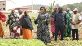 filets sociaux myss belmonde dogo exhorte les beneficiaires de bongouanou a sinteresser a la formation qui accompagne les transferts monetaires