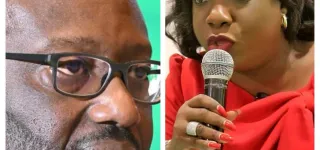 pdci-rda-risque-daffrontements-entre-partisans-de-tidjane-thiam-et-de-valerie-yapo-au-tribunal-dabidjan-plateau-2