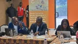 lavenir de lor artisanal sans mercure vers une extraction durable
