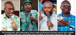 cnt-bis-apres-2020-le-pdci-rda-et-le-ppa-ci-preparent-la-chienlit