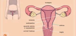 allo-docteur-lendometriose-une-maladie-feminine-ignoree