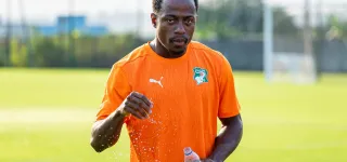 eliminatoires-mondial-2026-premiere-seance-dentrainement-des-elephants