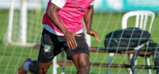 preparation-des-elephants-pour-la-can-maroc-2025-a-marbella-espagne