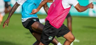 preparation-des-elephants-pour-la-can-maroc-2025-a-marbella-espagne