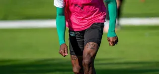 preparation-des-elephants-pour-la-can-maroc-2025-a-marbella-espagne