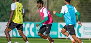 preparation-des-elephants-pour-la-can-maroc-2025-a-marbella-espagne