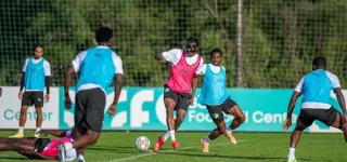 preparation-des-elephants-pour-la-can-maroc-2025-a-marbella-espagne