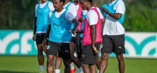 preparation-des-elephants-pour-la-can-maroc-2025-a-marbella-espagne