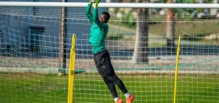 preparation-des-elephants-pour-la-can-maroc-2025-a-marbella-espagne