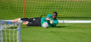 preparation-des-elephants-pour-la-can-maroc-2025-a-marbella-espagne