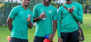 preparation-des-elephants-pour-la-can-maroc-2025-a-marbella-espagne