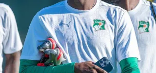 preparation-des-elephants-pour-la-can-maroc-2025-a-marbella-espagne