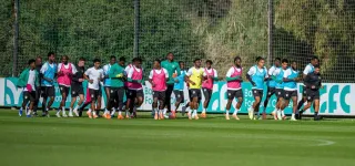 preparation-des-elephants-pour-la-can-maroc-2025-a-marbella-espagne