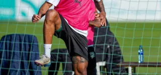 preparation-des-elephants-pour-la-can-maroc-2025-a-marbella-espagne