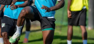 preparation-des-elephants-pour-la-can-maroc-2025-a-marbella-espagne