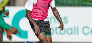 preparation-des-elephants-pour-la-can-maroc-2025-a-marbella-espagne