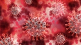 epidemie