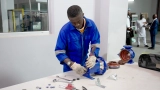 insertion-professionnelle
