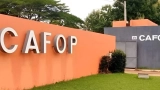 cafop-centre-danimation-et-de-formation-pedagogique