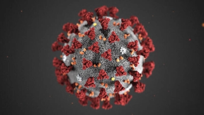 covid-19-coronavirus