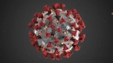 covid-19-coronavirus
