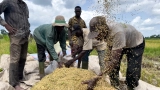 autosuffisance-alimentaire