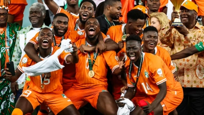 les-elephants-de-cote-divoire