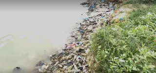 fragments-infimes-issus-de-la-degradation-des-dechets-plastiques-un-danger-pour-les-poissons-et-la-sante-humaine