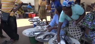 peche-artisanale-un-projet-de-transformation-du-port-de-peche-en-terminal-semi-industriel-en-cours-delaboration