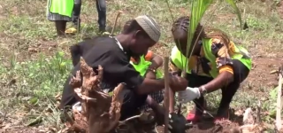 sensibilisation-aux-bonnes-pratiques-environnementales-une-operation-de-plantation-darbres-lancee-dans-20-ecoles