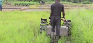 oume-les-producteurs-de-riz-beneficient-dappui-en-materiel-agricole-et-semences
